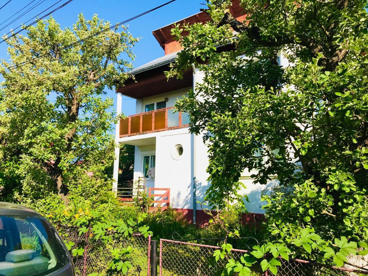 Apartament Vica Gura Humorului Esterno foto